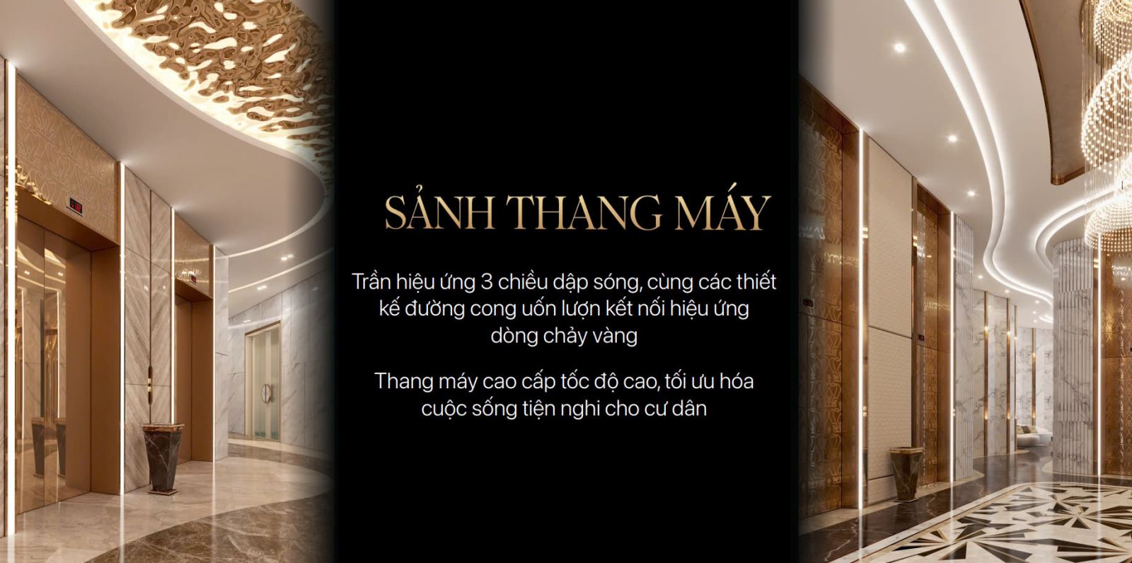 Sanh-Golden-crown-hai-phong-dojiland-thang-may